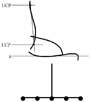 座椅相關(guān)專業(yè)術(shù)語和定義介紹